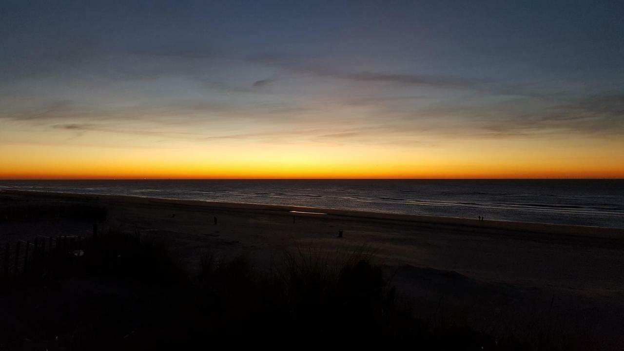 Near The Beach Zandvoort Esterno foto